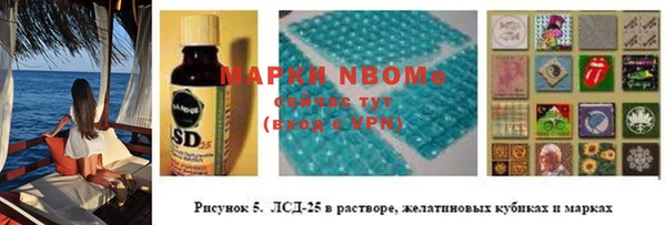 амф Аркадак