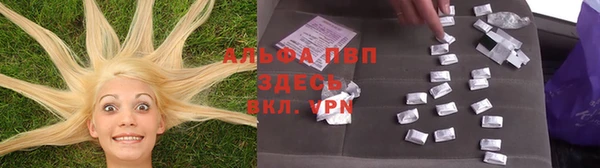 амф Аркадак